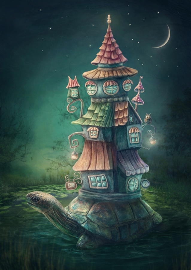 Želva se svým domem