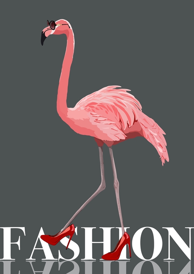 Mode Flamingo