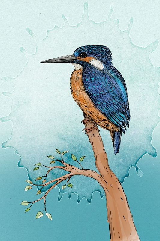 帽子 Supreme tag beanie \"Black\" Uccello Martin Pescatore Sandali Martin Pescatore Poster