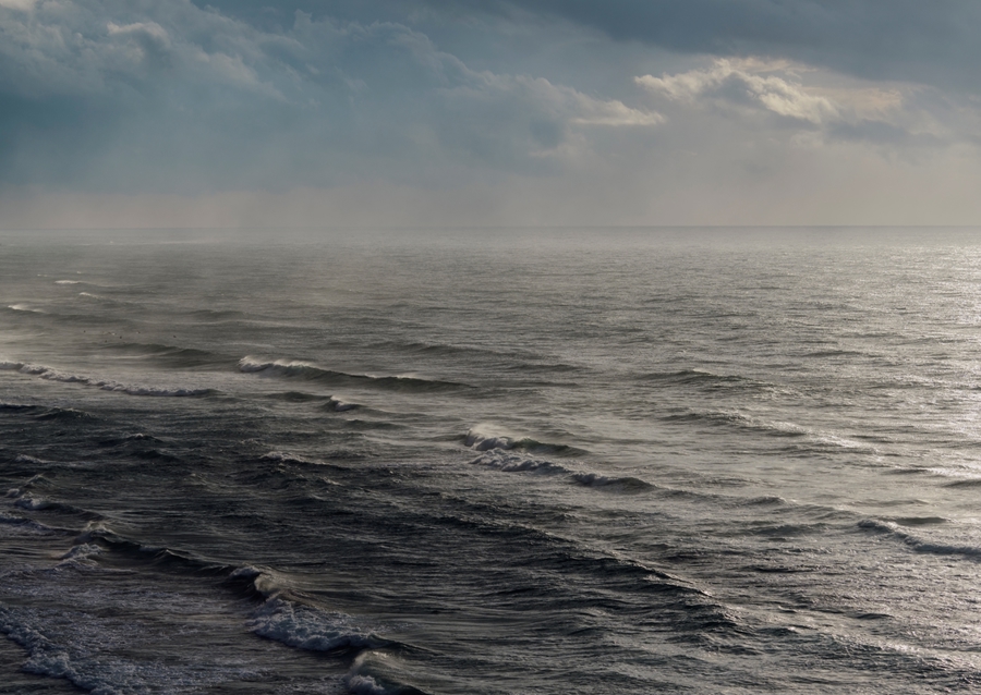 Surfen im Winter VIII