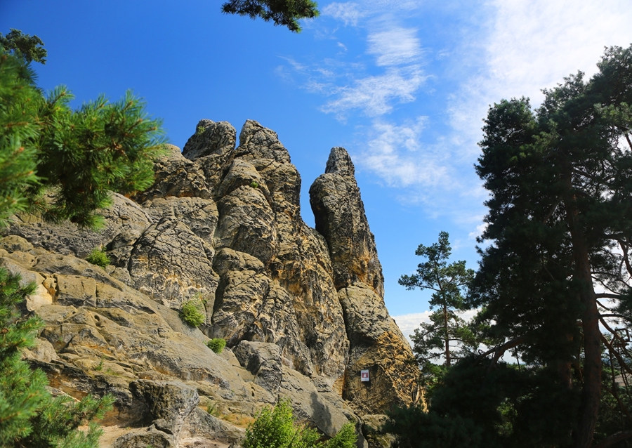 Znak Hamburku v pohoří Harz