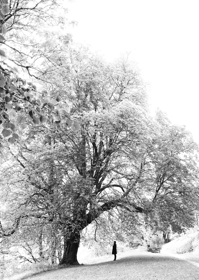 L'Albero della Vita