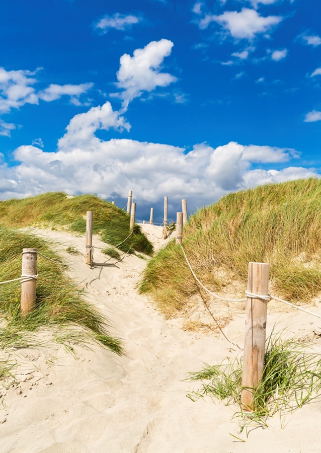 Pad door de duinen naar de zee