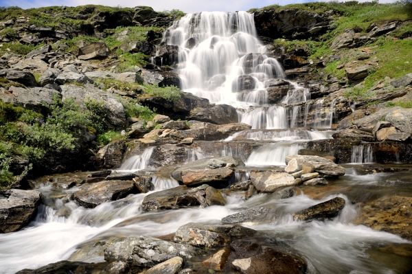 Poster: Cas - Peter Rolén