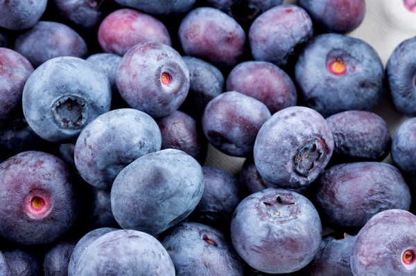 Poster: Mirtilos - Christoph Schäfer