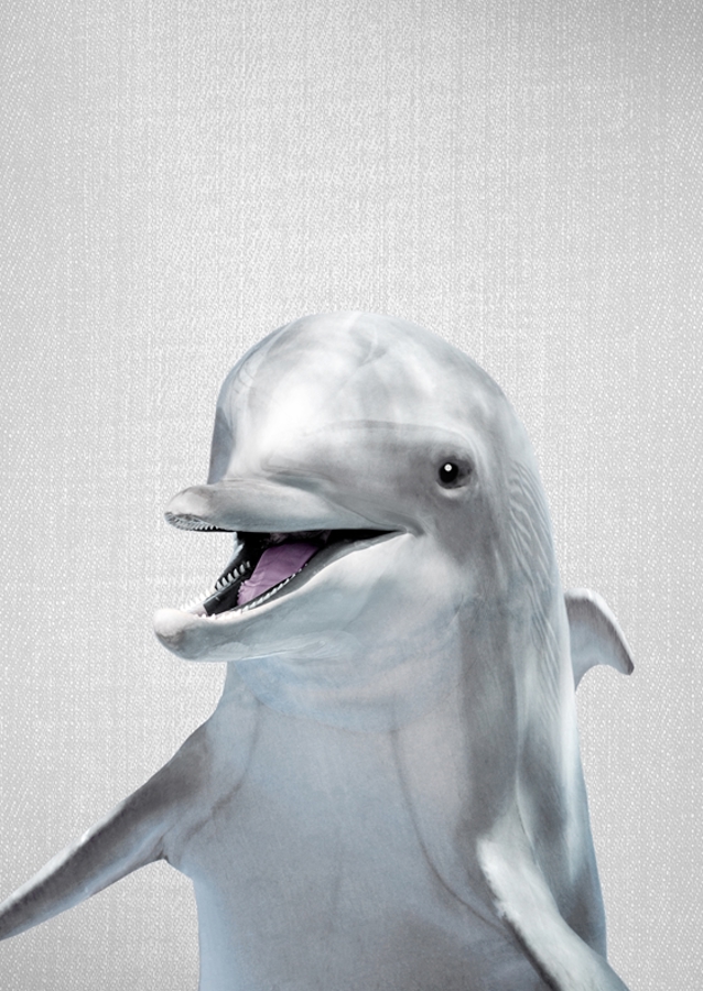 Delfin