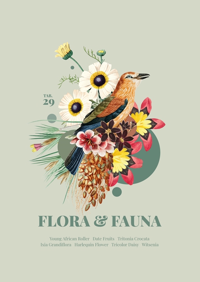 Flora & Fauna with afr. Roller