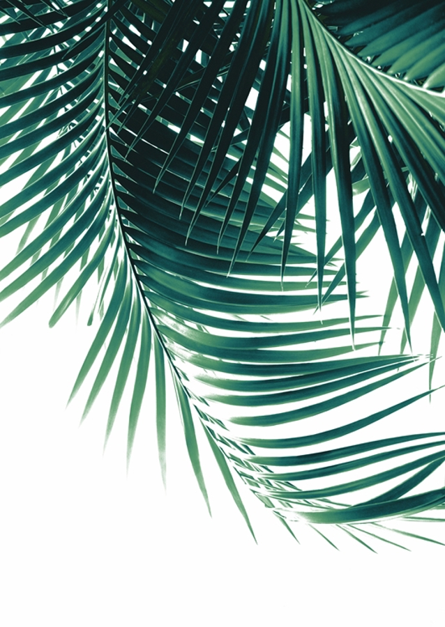 Palm Leaves Green Vibes 4