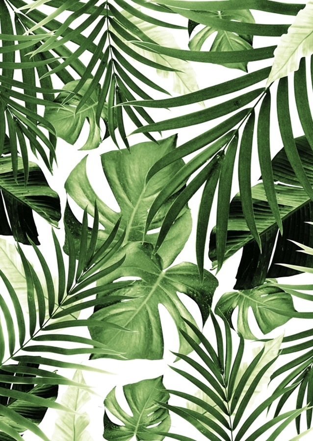 Tropical Jungle Leaves Pattern