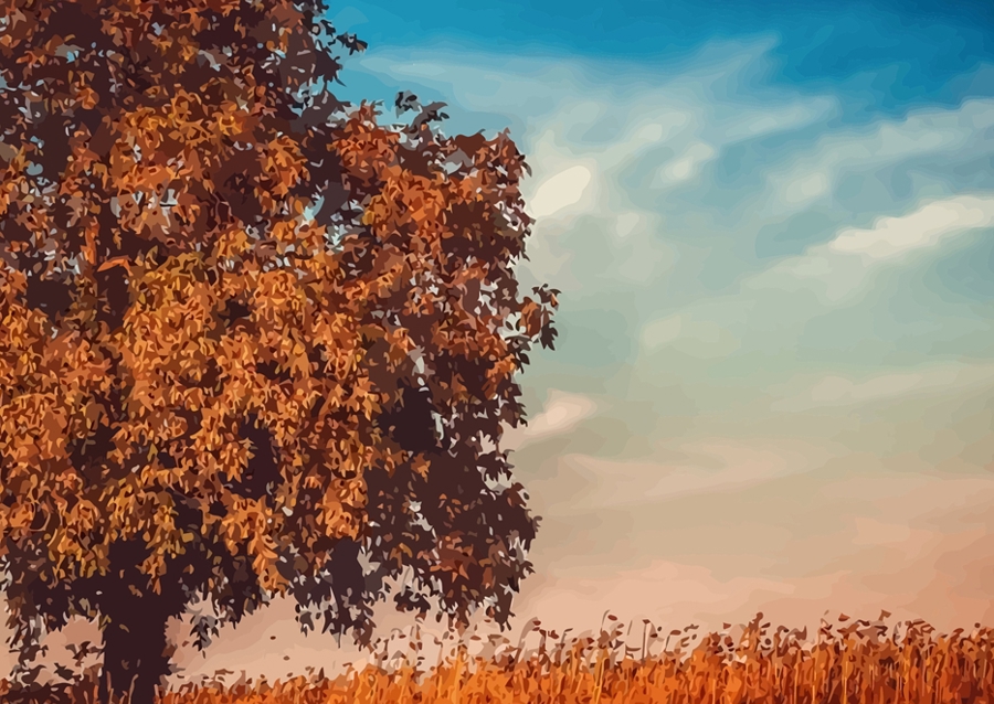 æstetisk skyggefuldt træ