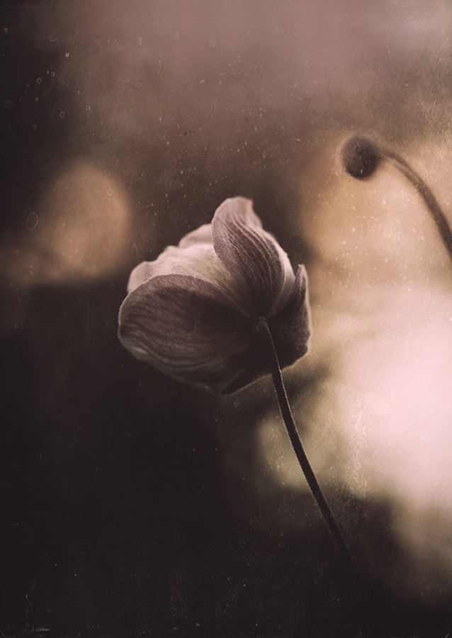 God fornøjelse med havearbejdet