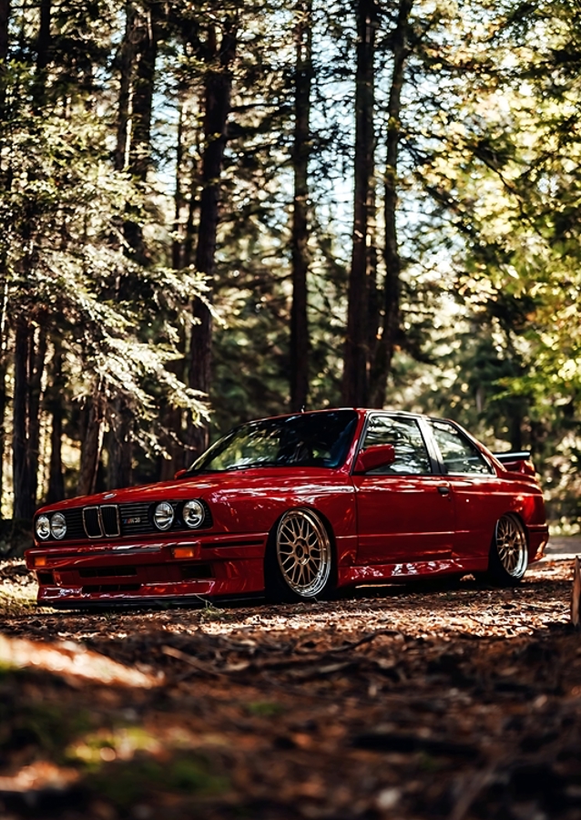 BMW e30