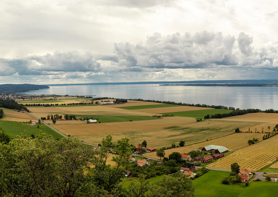 Vätterns Landscape Gränna 