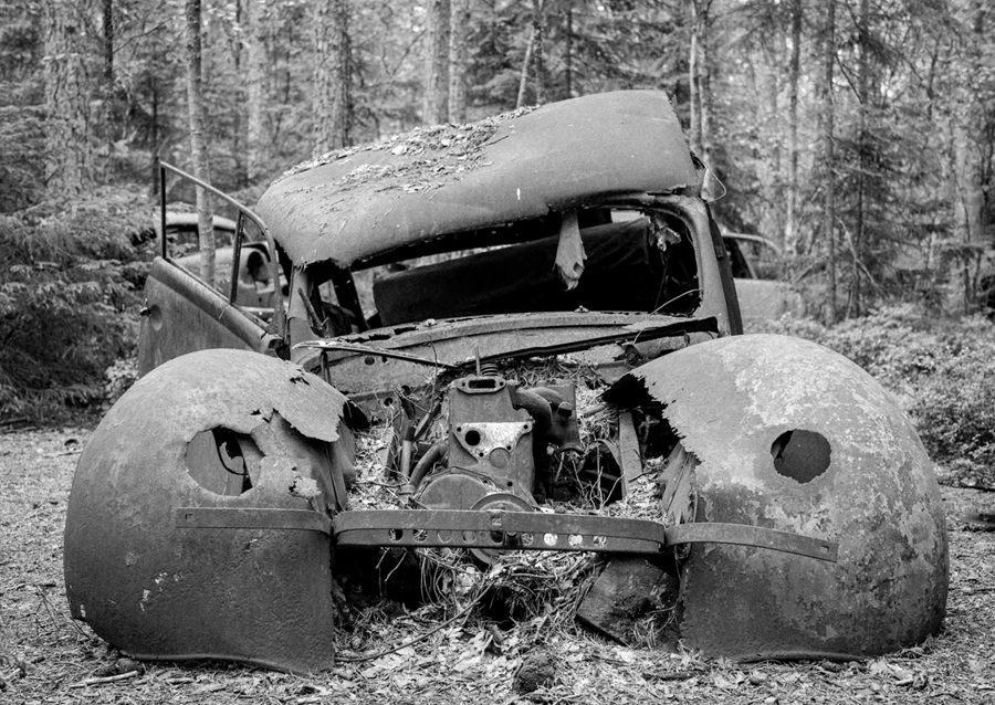 Vrak v lese