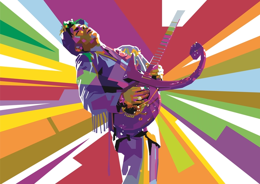Prince Rogers Nelson Pop Art