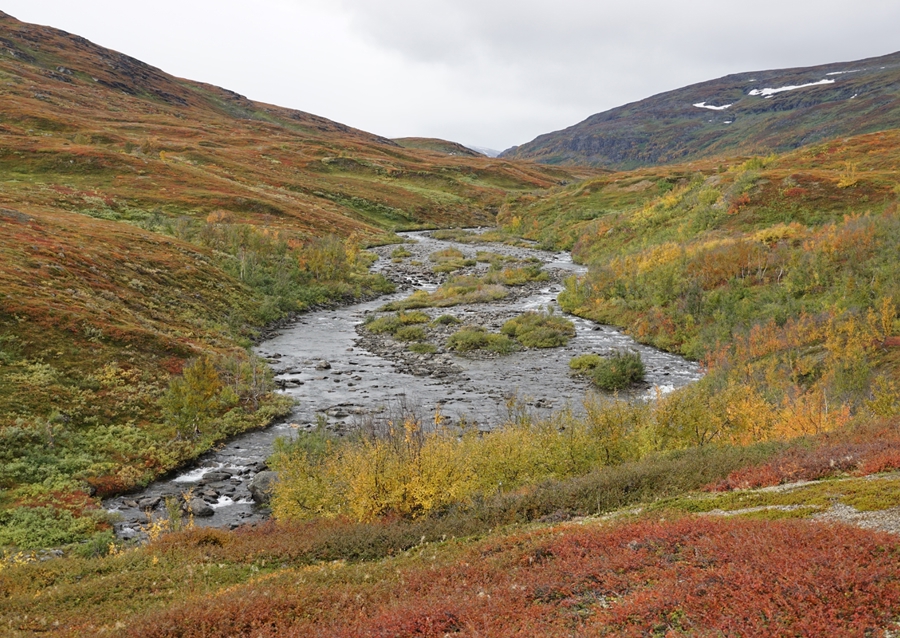 Stream with small islands
