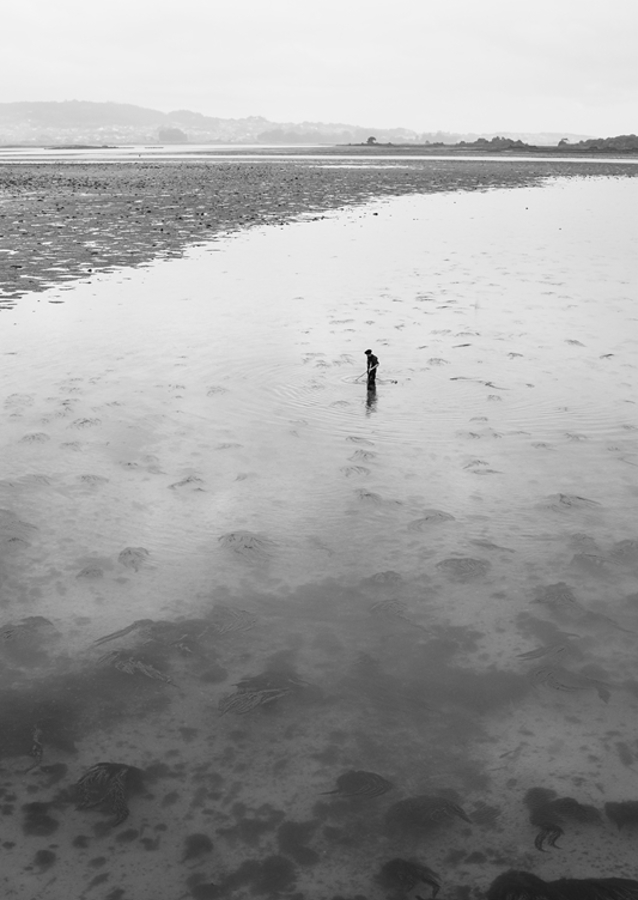 Říkají tomu svoboda