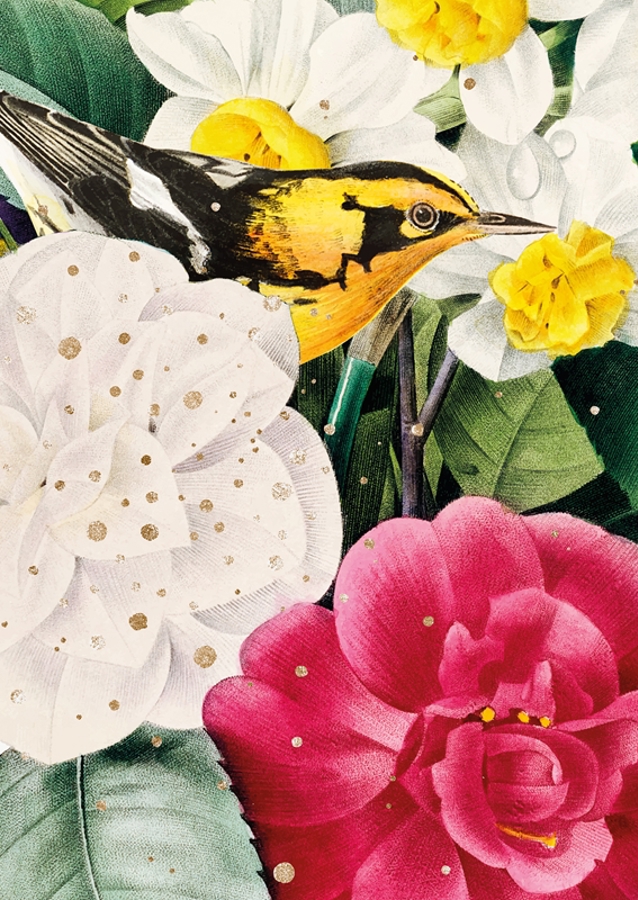 Madár a virágok között