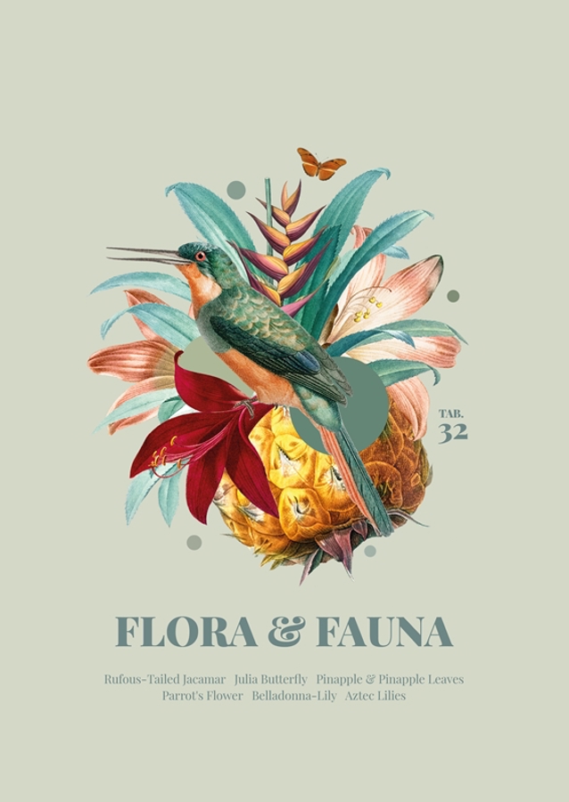 Flora & Fauna med Glanzvogel