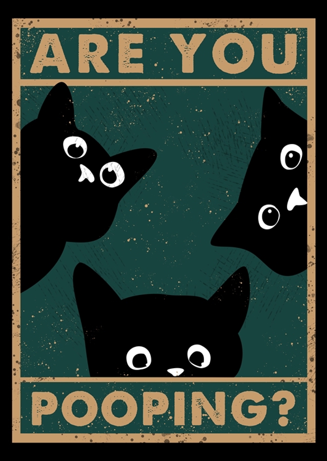 Black Cat Are You Pooping
