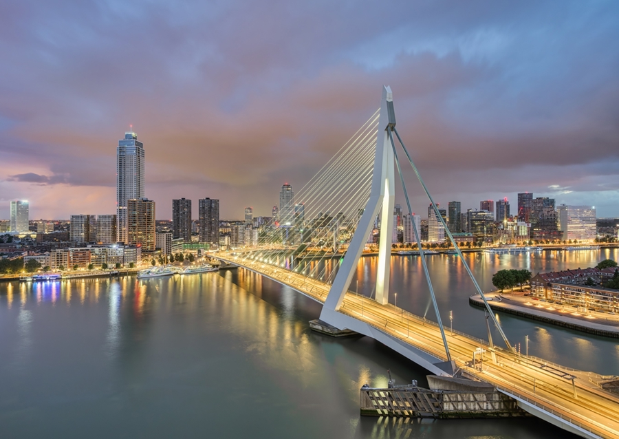 Erasmus Bridge in Rotterdam