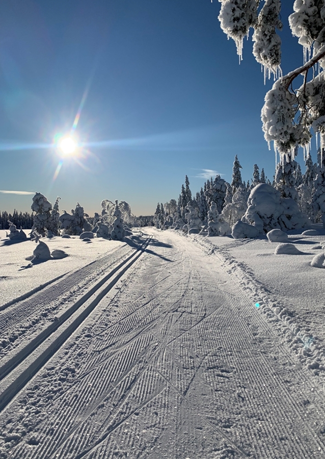 The perfect winter day