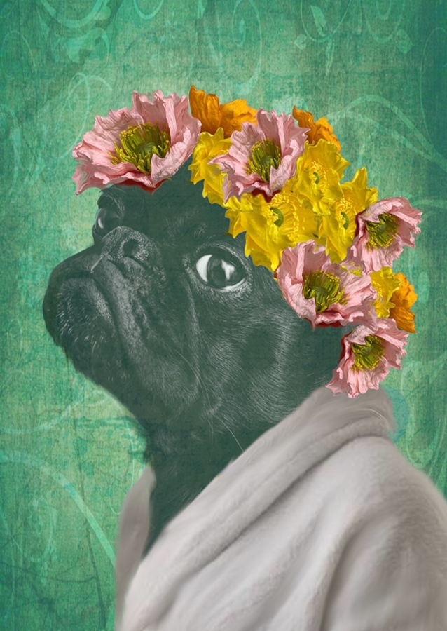 Mops Hund Pug Dog med blomster