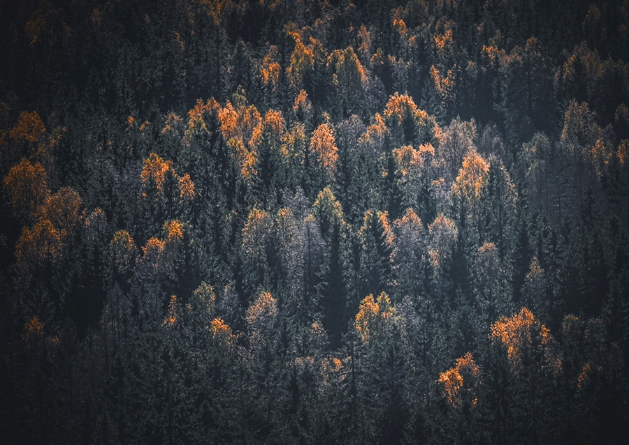 Oktober