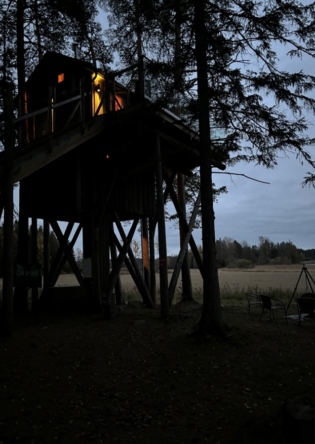 Chata v korunách stromov 