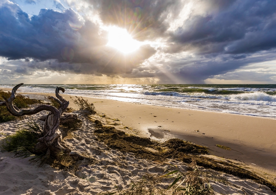 Darßer Weststrand - Ostsee