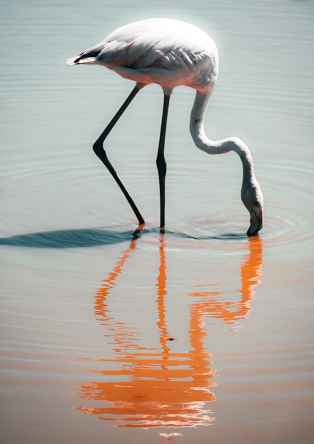 Flamingo i retrofarver