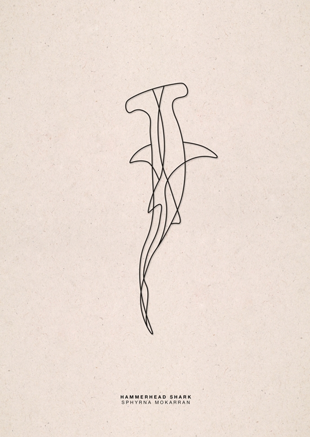 Line Art Hammerhead Shark