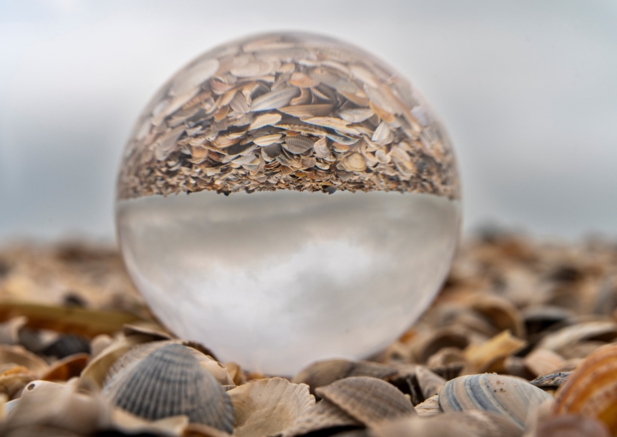 Glass ball in a pile of shells