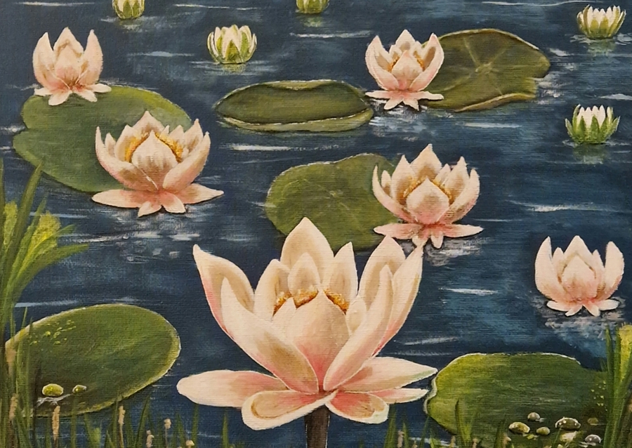 Waterlillies