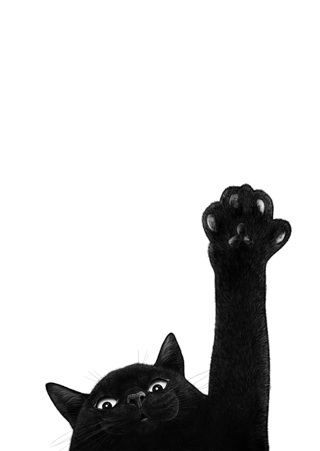 Černá kočka s tlapkou