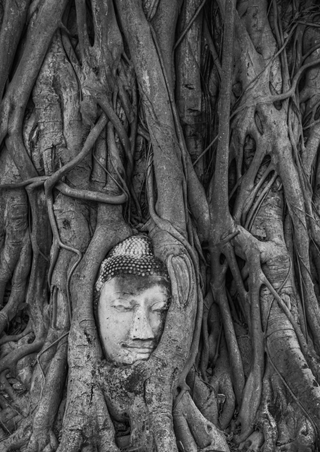 Buddha & SPIRITUELLE WURZELN