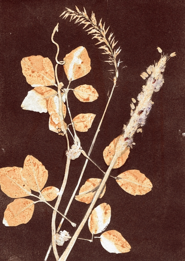 Botanical leaves brown ocre