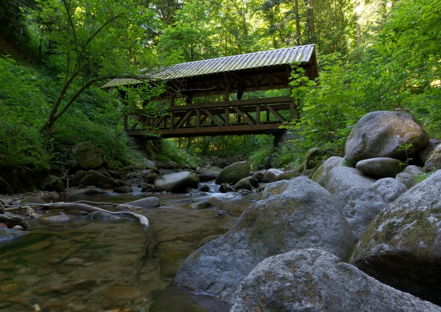 Brücke über Bach in Wald