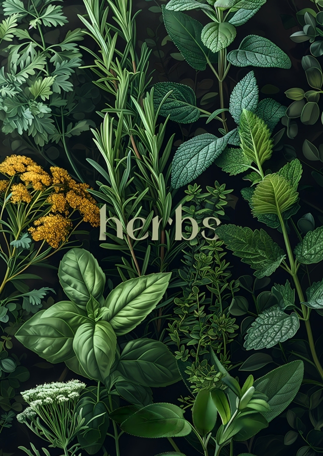 Herbs
