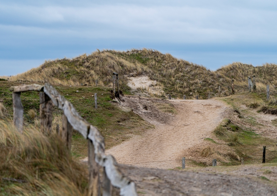 The way to the beach