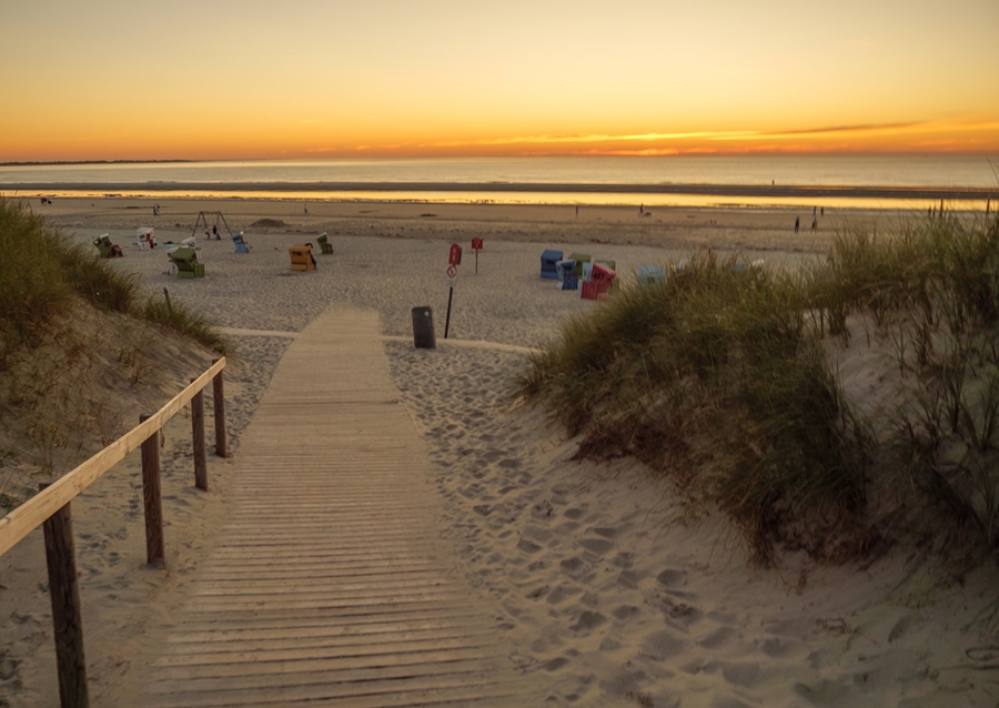 dunes and beach at the sea