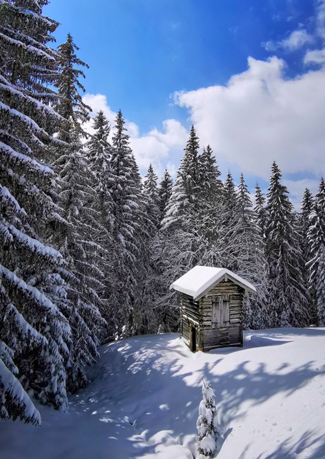 Hut in the snow