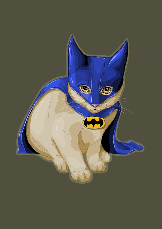 Batman cat