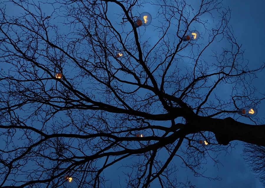 The light in the darkness