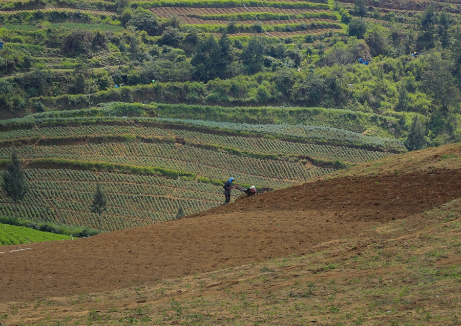 Agricultural with farmer