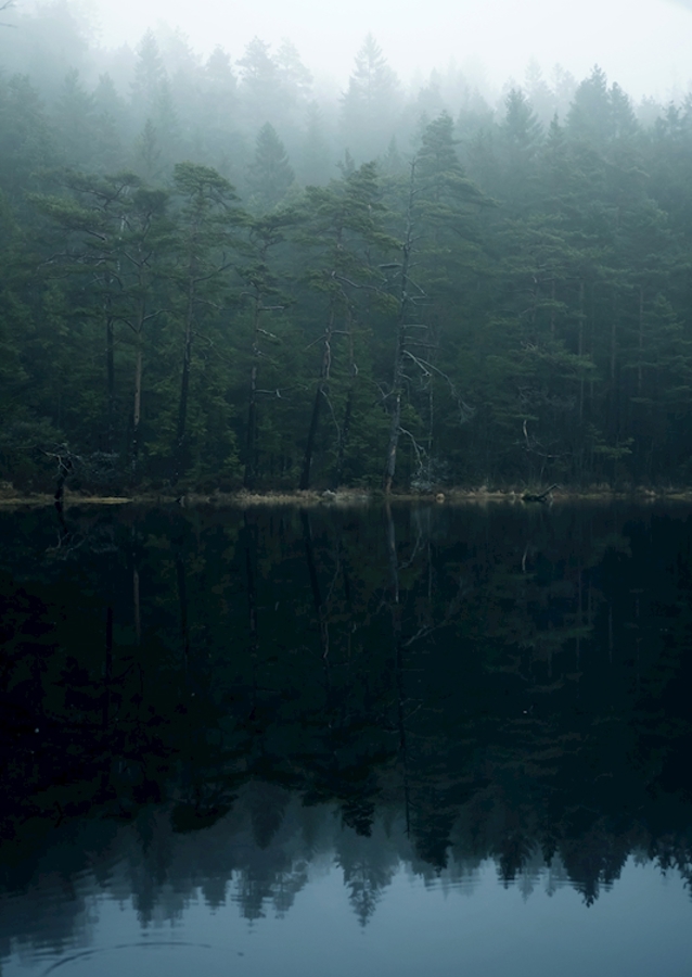 falmet skog