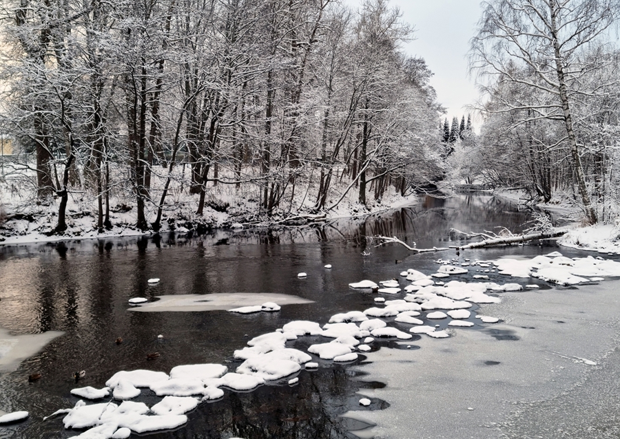  A cold winter's day in Sweden