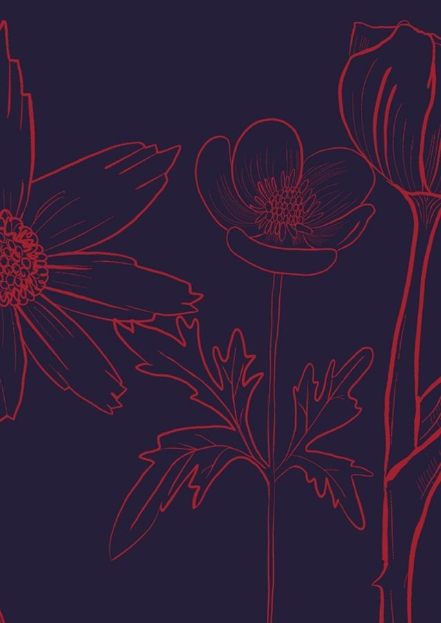 Blumen minimaliste (1)