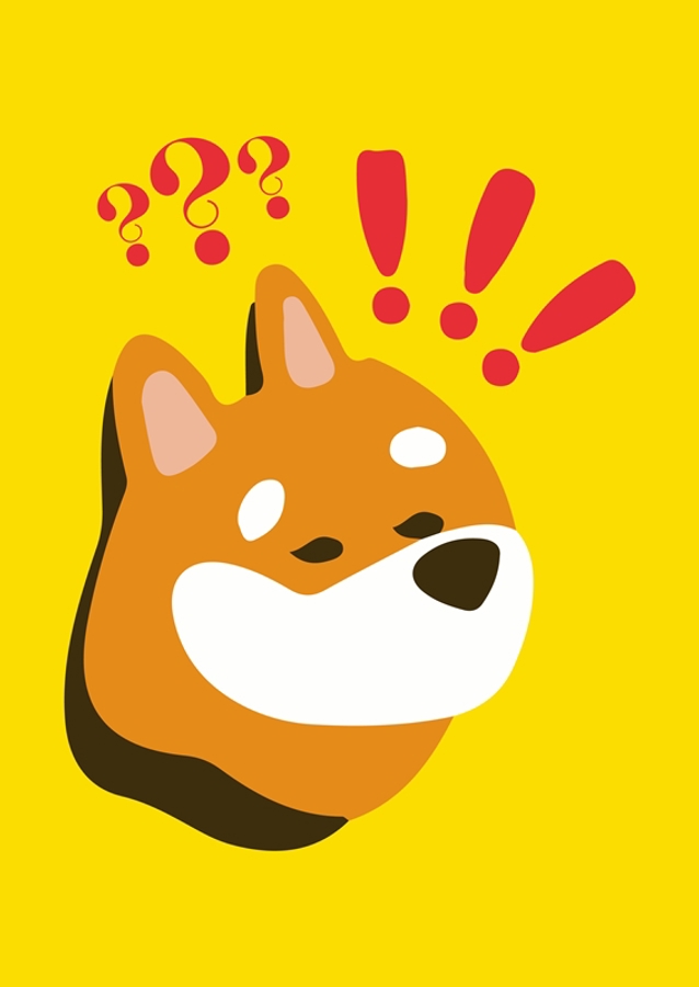 Bonk Meme Coin Crypto