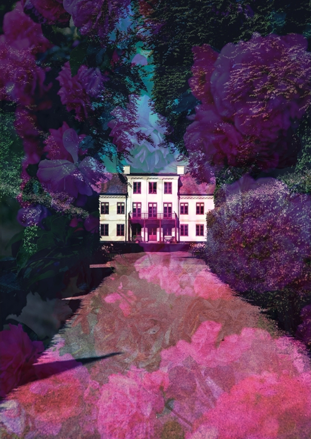 A rózsaszín út a házhoz